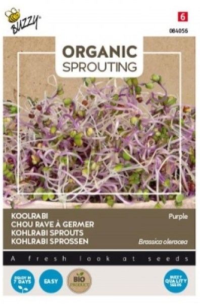 084056 kalerab cerveny bio semena na klicenie_500x500